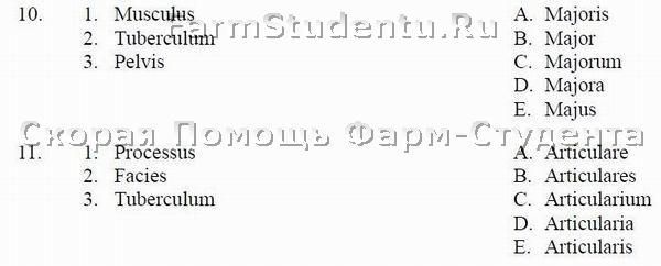рабочая тетрадь по латыни с медицинской терминологией ответы. тест по латинскому языку с ответами. тест на латинском языке. тест по латыни. тест по латинскому языку.